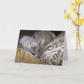Rat d'animal familier, carte d'anniversaire de (Fleur jaune)