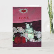 Rat d'animal familier, Darcy, carte de