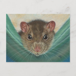 Rat dans Hammock carte postale KMCoriginaux