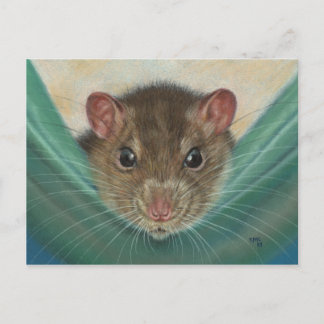 Rat dans Hammock carte postale KMCoriginaux