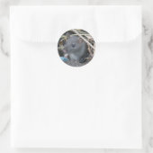 Rat dans un autocollant de trou (Sac)