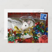 Rat dans un sac Carte postale (Devant / Derrière)