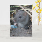 Rat dans un trou Carte de voeux (Fleur jaune)