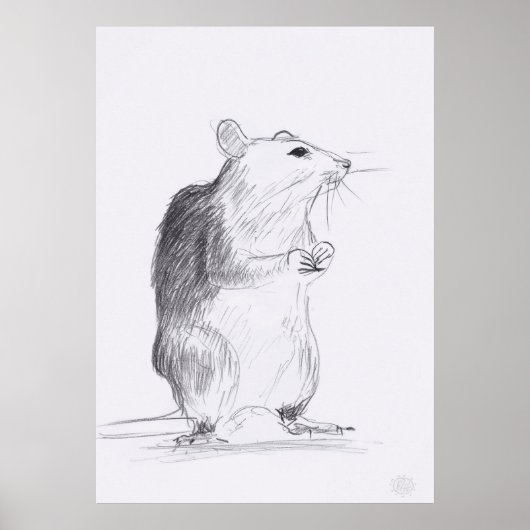Rat Dessin Original Poster 24x36 (Devant)