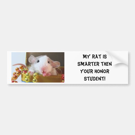 Rat Honor Student Bumpersticker (Voorkant)