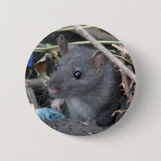 Rat in een Button met opening (Voorkant)