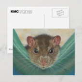 Rat in Hammock briefkaart KMCoriginals (Voorkant / Achterkant)