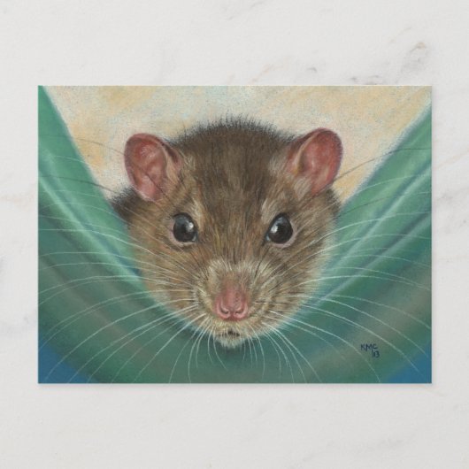 Rat in Hammock briefkaart KMCoriginals (Voorkant)