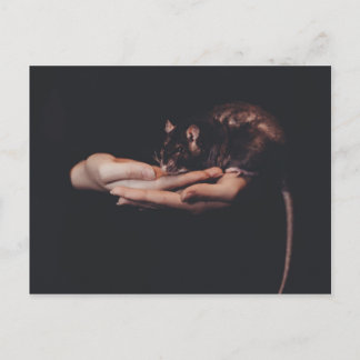 Rat in hand... briefkaart