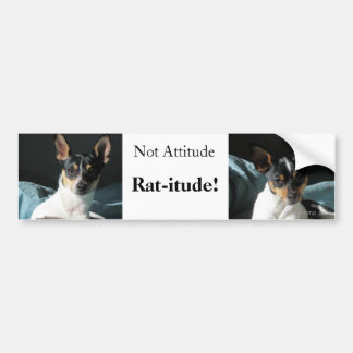 Rat-itude! Bumpersticker