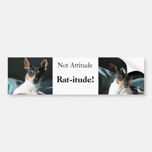 Rat-itude! Bumpersticker (Voorkant)