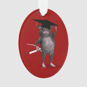Rat Le Plus Intelligent De La Ville