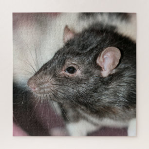 Rat Legpuzzel