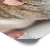 Rat Lover Poster (Hoek)