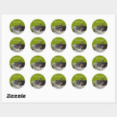 Rat Lover Stickers (Vel)