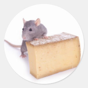 rat met kaas ronde sticker
