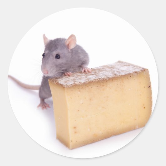 rat met kaas ronde sticker (Voorkant)