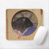 Rat Mousepad Muismat (Met muis)