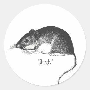 rat muis retro stijlvol chic ronde sticker