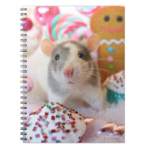Rat Notebook