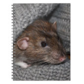 Rat notebook notitieboek (Voorkant)
