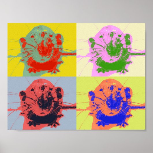 Rat Poster (Voorkant)