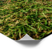 Rat Rod Poster (Hoek)