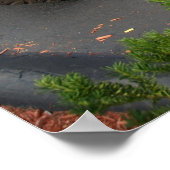 Rat Rod Poster (Hoek)