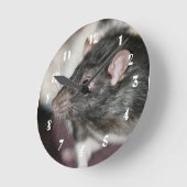 Rat Ronde Klok (Hoek)