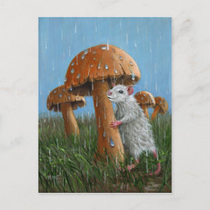 Rat sous Champignons en pluie Carte postale