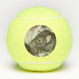 Rat Tennisballen