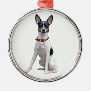 Rat Terrier (A) Metalen Ornament