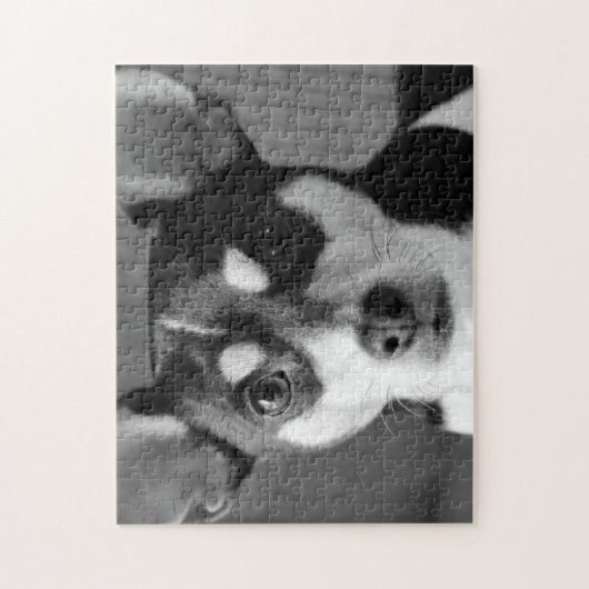 Rat Terrier, Black and White Legpuzzel (Verticaal)