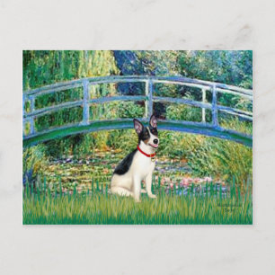 Rat Terrier - Bridge Briefkaart