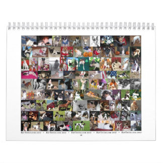 Rat Terrier Calendar 2007 Kalender
