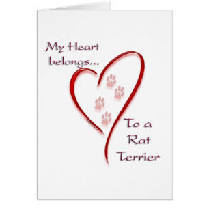 Rat Terrier Coeur Appartient