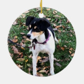 RAT TERRIER DOG CHRISTMAS ORNAMENT (Achterkant)