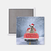 Rat Terrier Dog in Snow, die met Kerstmis rondloop Magneet (Voorkant / Achterkant)