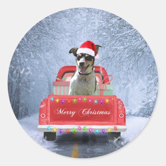 Rat Terrier Dog in Snow, die met Kerstmis rondloop Ronde Sticker (Voorkant)