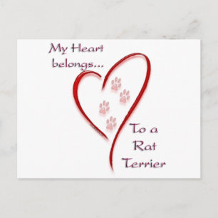 Rat Terrier Heart hoort erbij Briefkaart