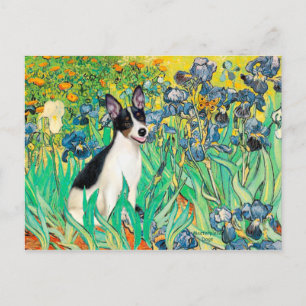Rat Terrier - Irises Briefkaart
