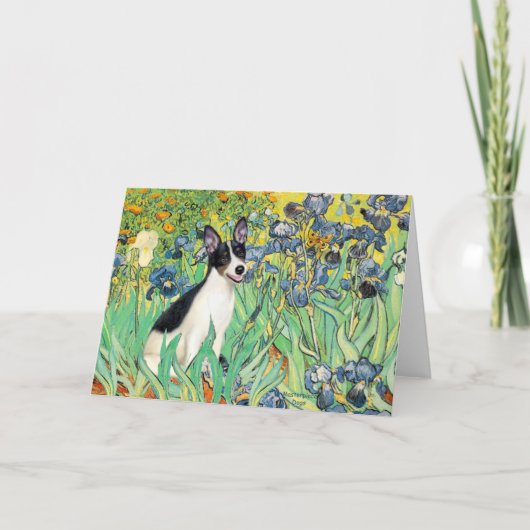 Rat Terrier - Irises Kaart (Voorkant)