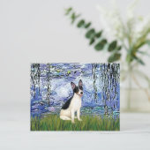 Rat Terrier - Lelies 6 Briefkaart (Staand voorkant)