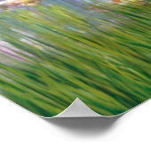 Rat Terrier - Lilies 2 Poster (Hoek)