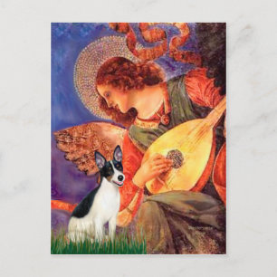 Rat Terrier - Mandolin Engel Briefkaart