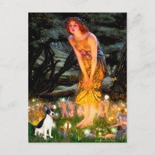 Rat Terrier - MidEve Briefkaart