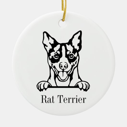 Rat Terrier ornement chien (Devant)