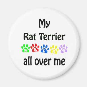 Rat Terrier Wandelingen Ontwerp Magneet