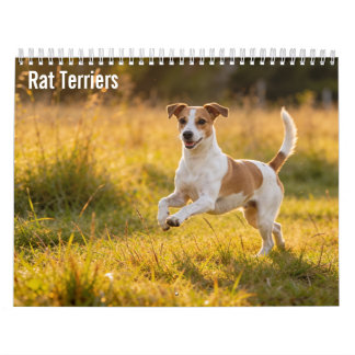 Rat Terriers 2027 wandkalender Kalender