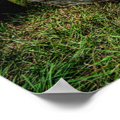 Rat Truck Poster (Hoek)